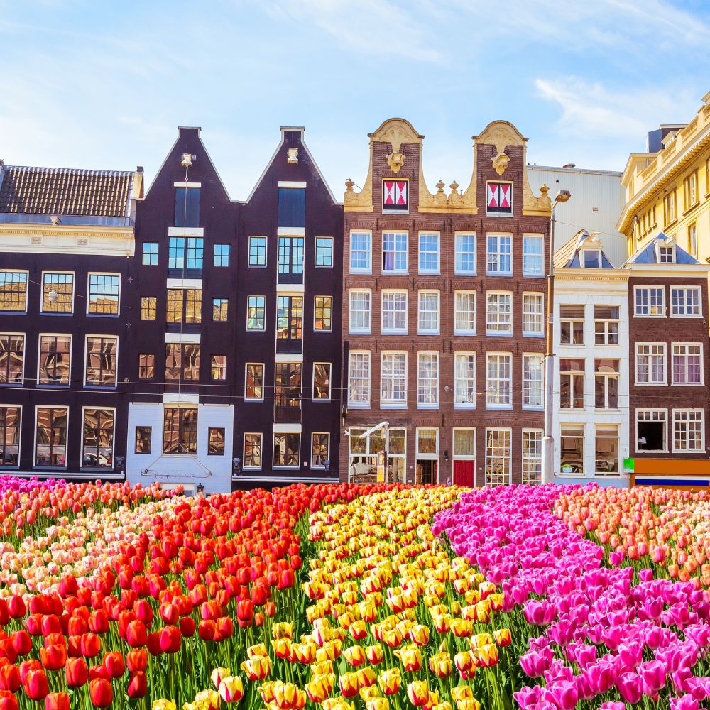 Moving to Amsterdam: everything you need to know